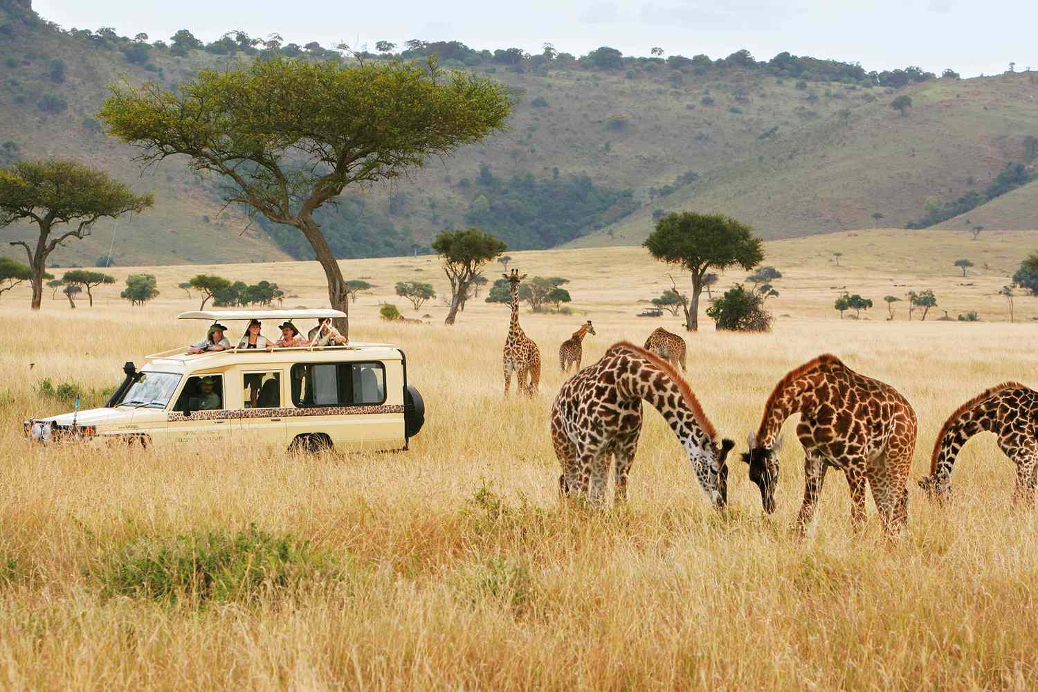Akagera Safari