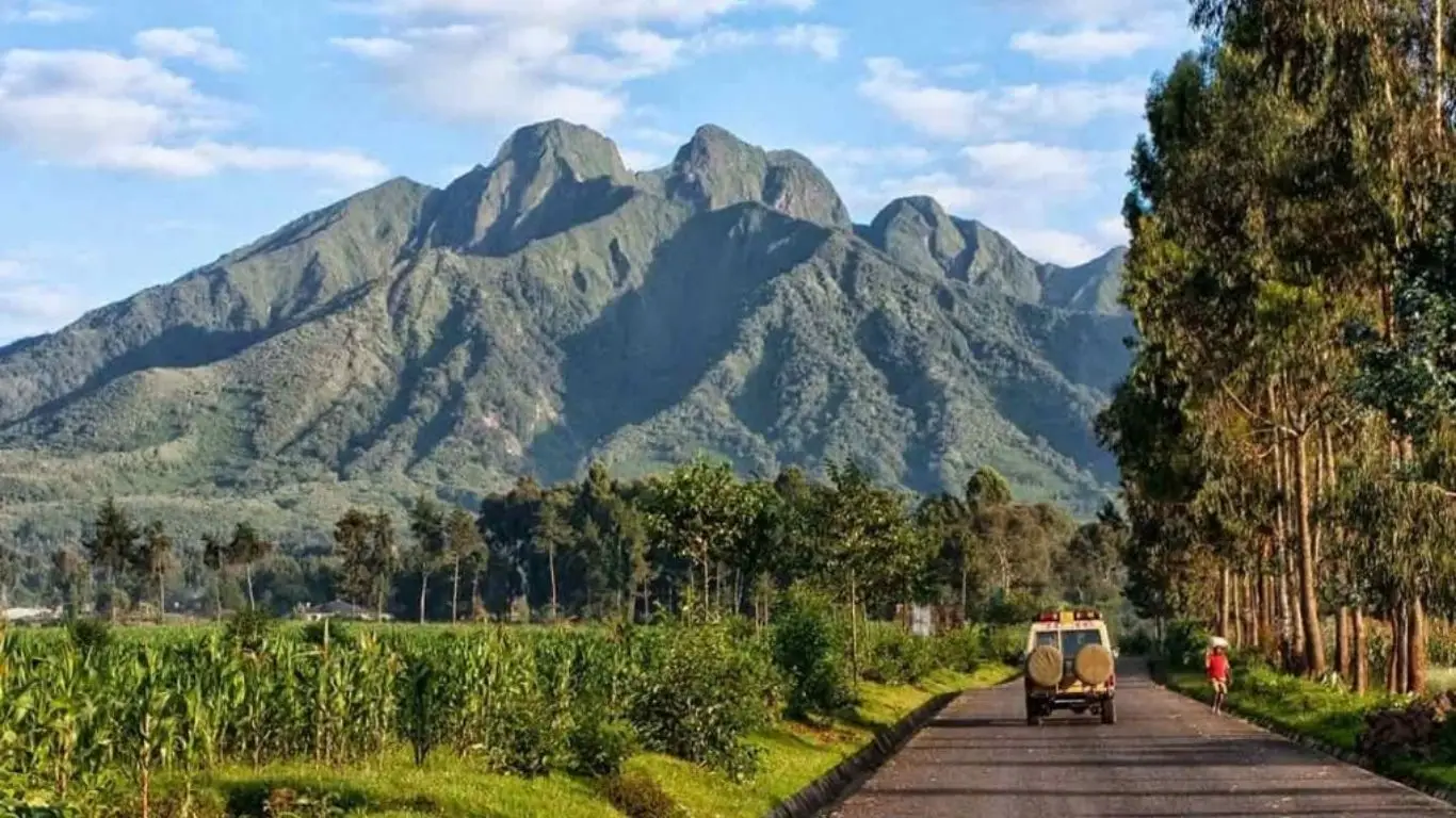 Best Time to Visit Rwanda